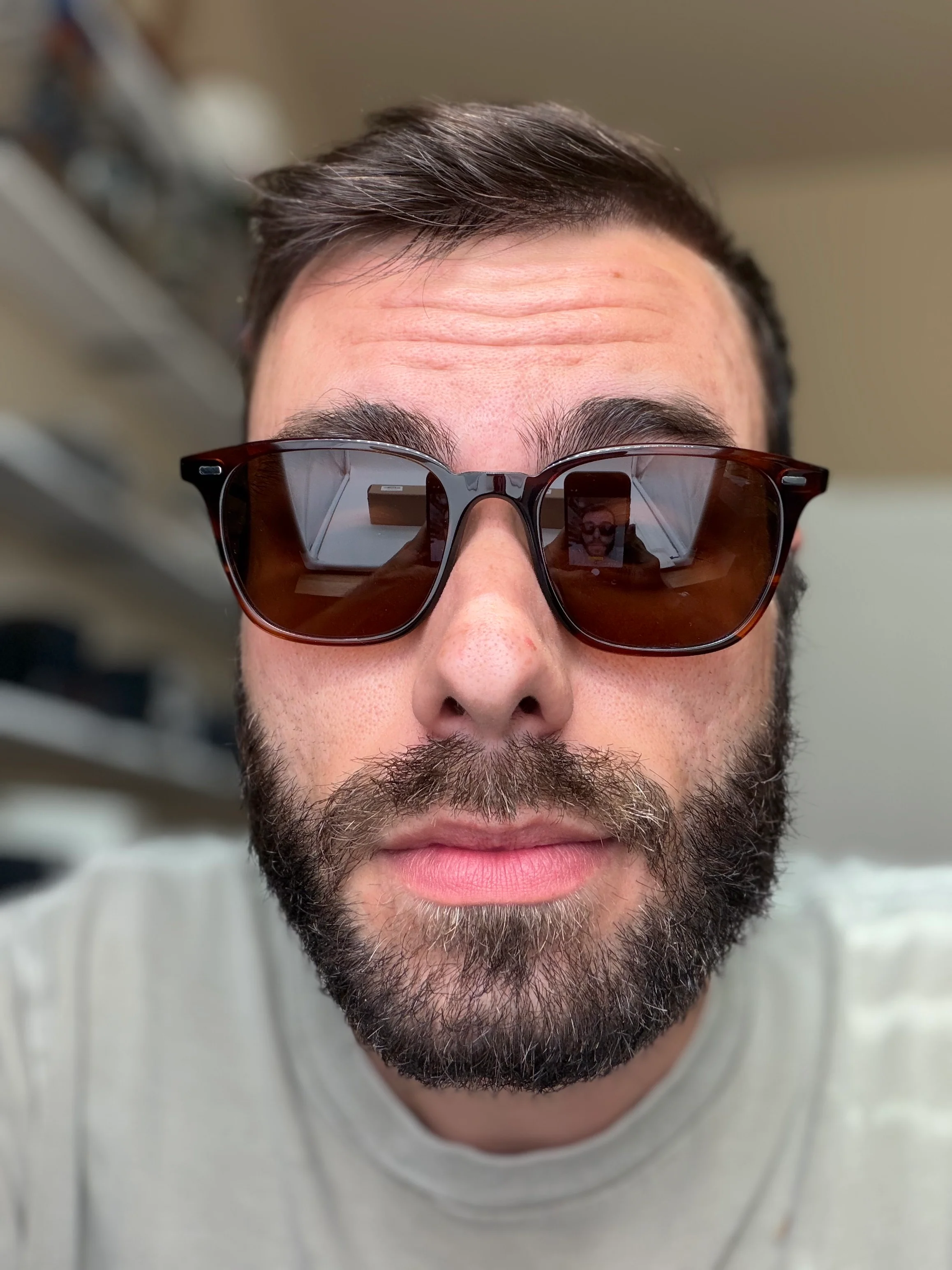 Oliver Peoples Laedin 52mm Morado Tortoise / Terra Polarized Crystal OV 5614 Japan NEW - Image 12