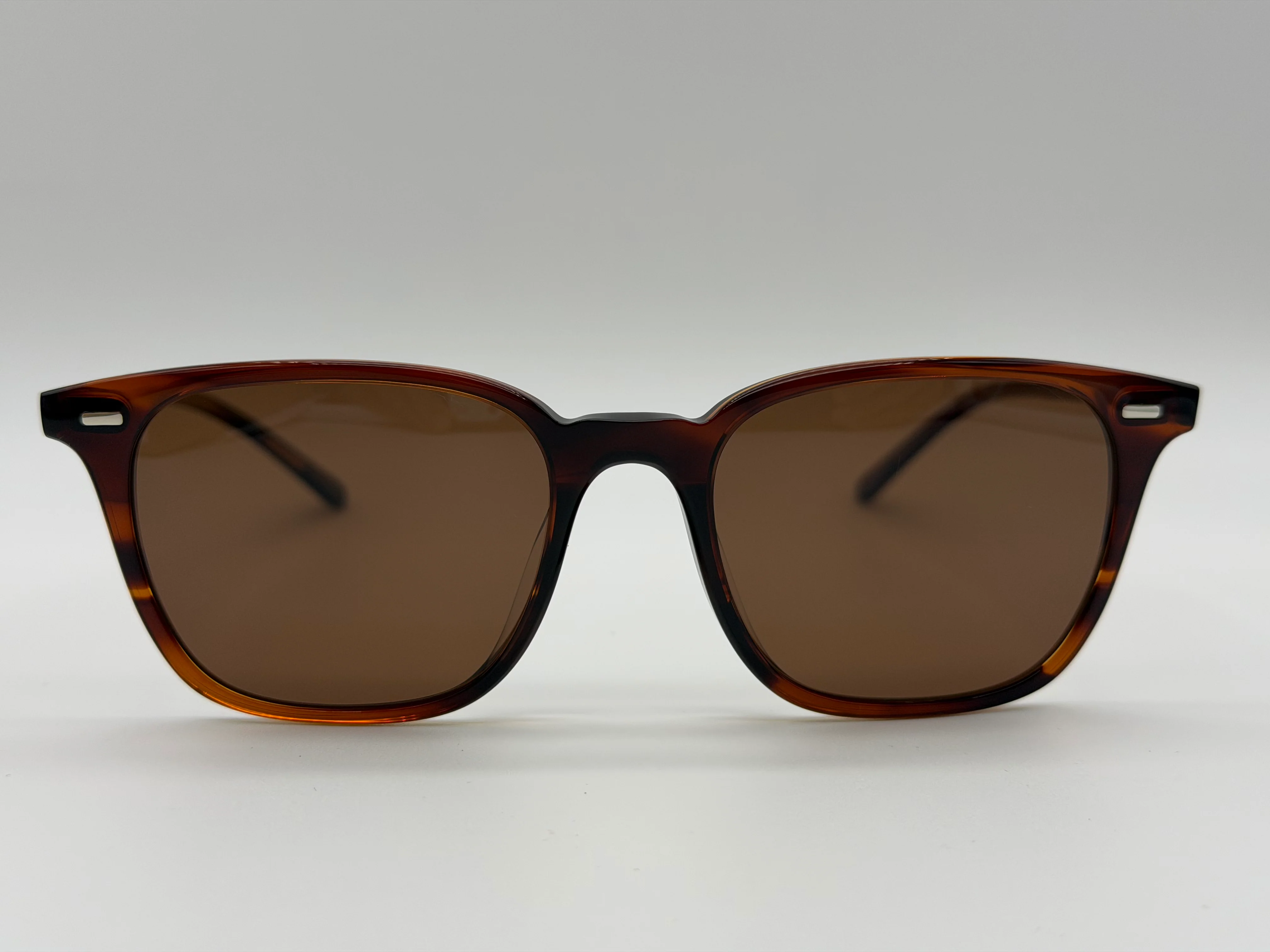 Oliver Peoples Laedin 52mm Morado Tortoise / Terra Polarized Crystal OV 5614 Japan NEW - Image 5